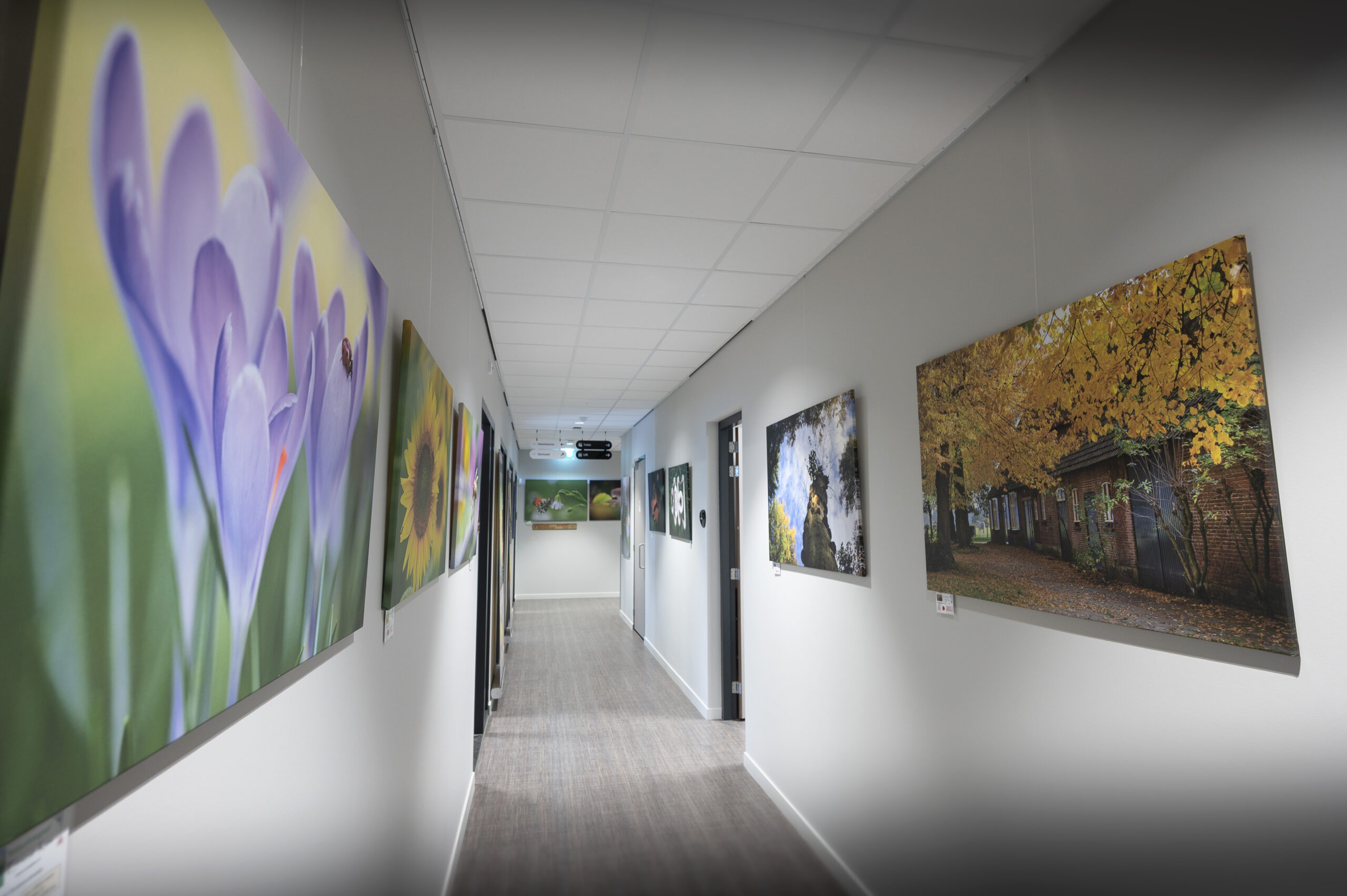 Natuurbeelden uit De Kempen door fotograaf Ernest Kox